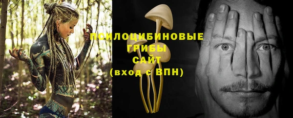 марки nbome Алзамай