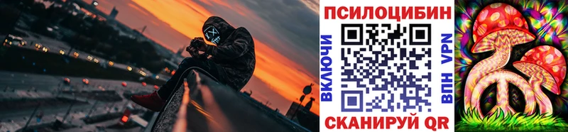 Псилоцибиновые грибы Psilocybine cubensis  Купить где  Гаврилов Посад 
